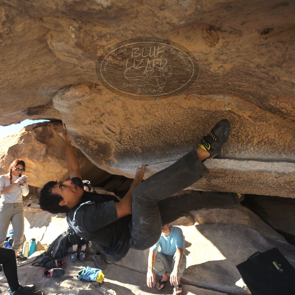 

Filename: SRM_20251110_1442150.jpg
Aperture: f/5.6
Shutter Speed: 1/500
Body: Canon EOS R6
Lens: Canon EF 16-35mm f/2.8 L