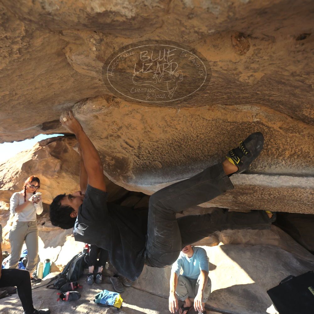 

Filename: SRM_20251110_1442160.jpg
Aperture: f/5.6
Shutter Speed: 1/500
Body: Canon EOS R6
Lens: Canon EF 16-35mm f/2.8 L