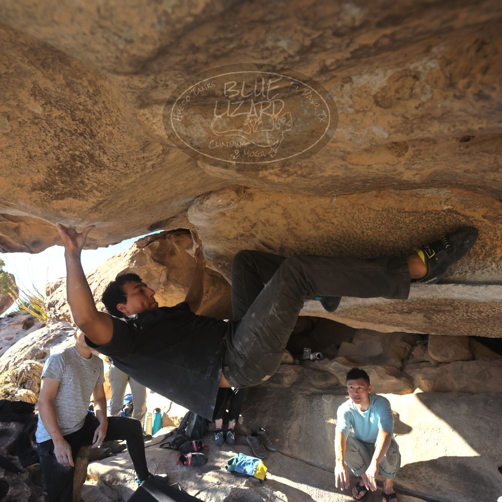 

Filename: SRM_20251110_1442230.jpg
Aperture: f/5.6
Shutter Speed: 1/500
Body: Canon EOS R6
Lens: Canon EF 16-35mm f/2.8 L