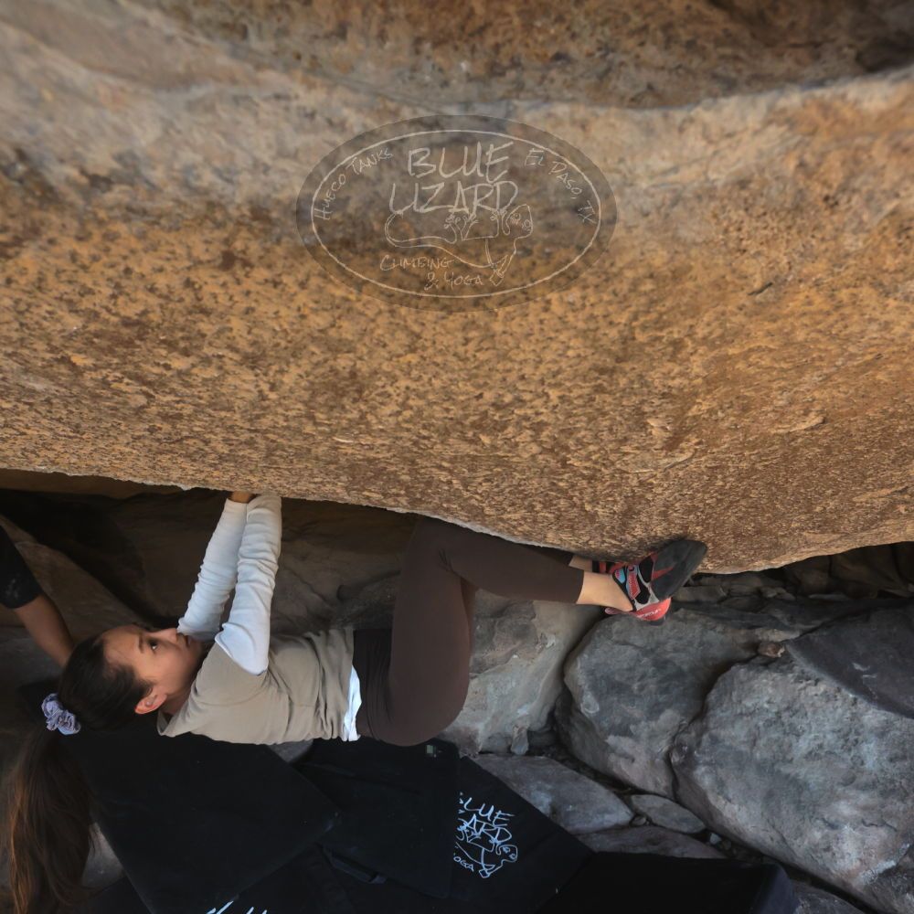 

Filename: SRM_20251110_1444310.jpg
Aperture: f/5.6
Shutter Speed: 1/500
Body: Canon EOS R6
Lens: Canon EF 16-35mm f/2.8 L