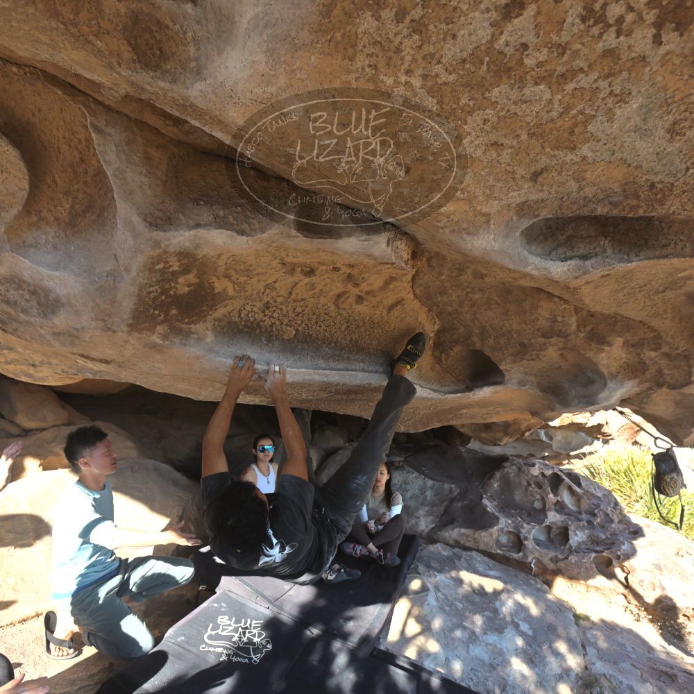 

Filename: SRM_20251110_1450100.jpg
Aperture: f/5.6
Shutter Speed: 1/500
Body: Canon EOS R6
Lens: Canon EF 16-35mm f/2.8 L