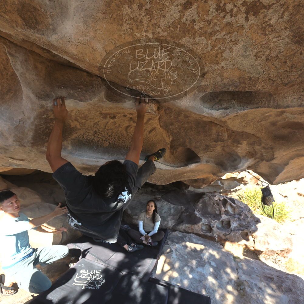 

Filename: SRM_20251110_1450210.jpg
Aperture: f/5.6
Shutter Speed: 1/500
Body: Canon EOS R6
Lens: Canon EF 16-35mm f/2.8 L