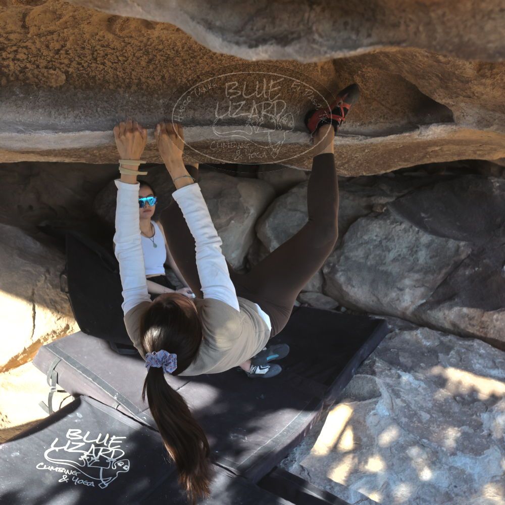 

Filename: SRM_20251110_1451041.jpg
Aperture: f/5.6
Shutter Speed: 1/500
Body: Canon EOS R6
Lens: Canon EF 16-35mm f/2.8 L