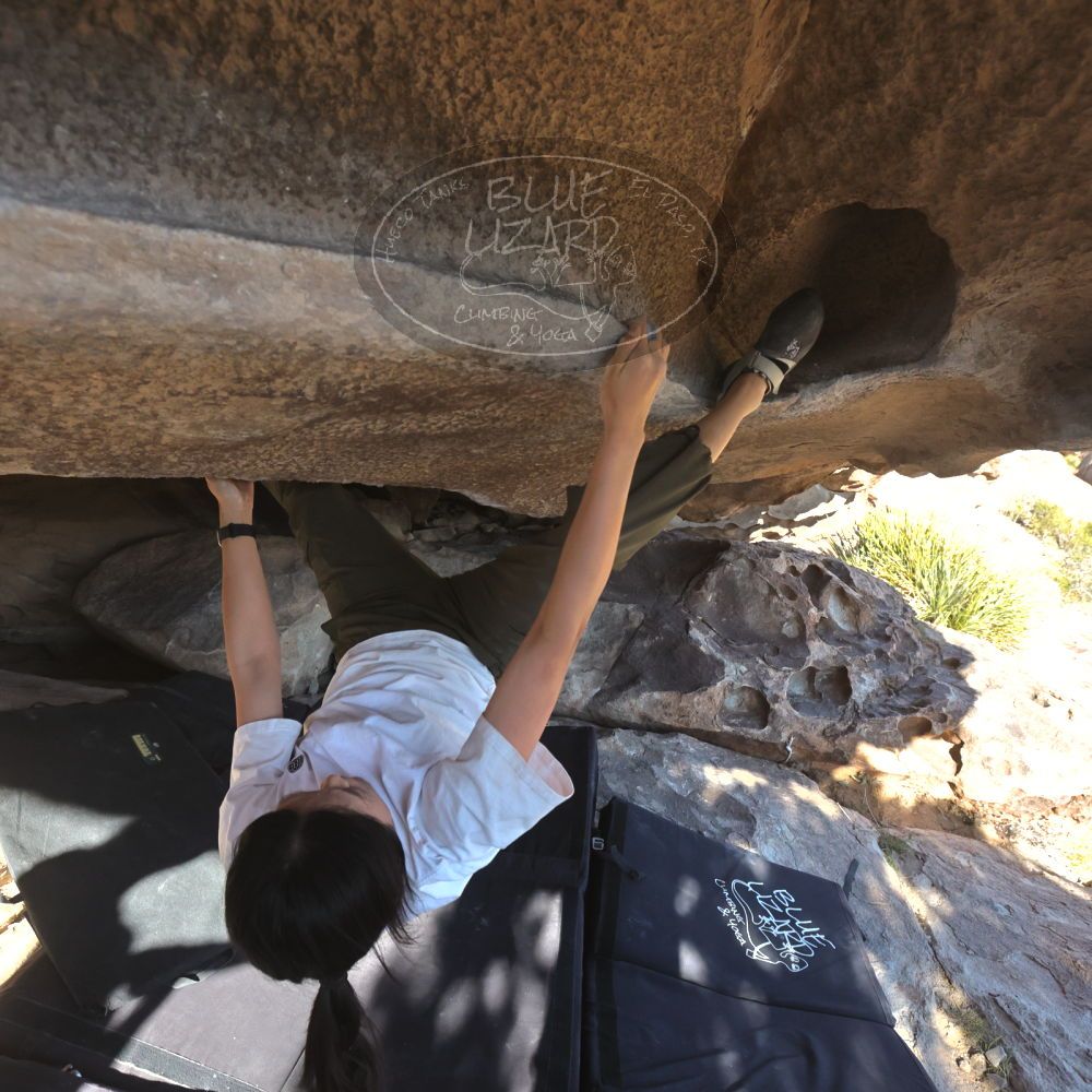 

Filename: SRM_20251110_1457520.jpg
Aperture: f/5.6
Shutter Speed: 1/640
Body: Canon EOS R6
Lens: Canon EF 16-35mm f/2.8 L