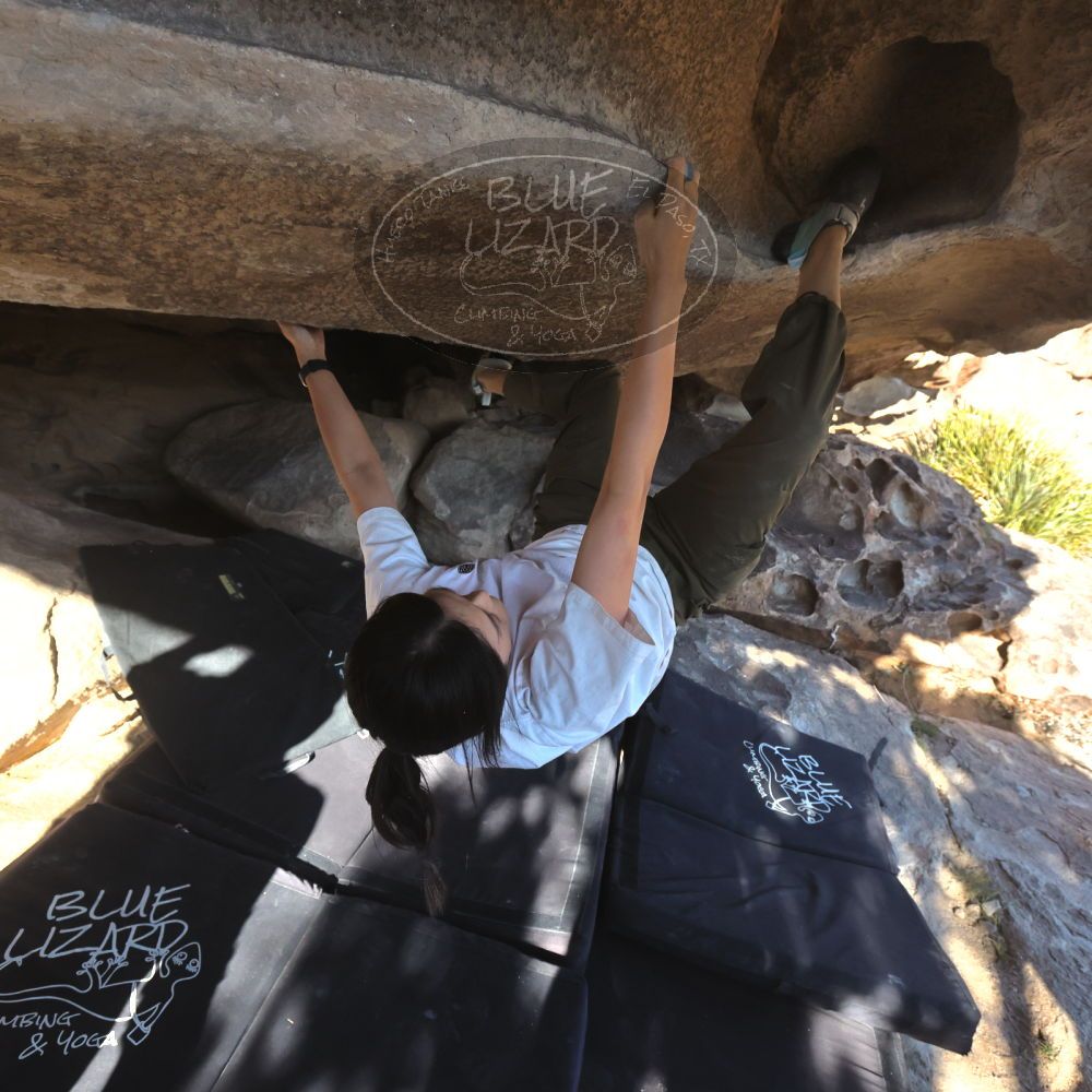 

Filename: SRM_20251110_1457570.jpg
Aperture: f/5.6
Shutter Speed: 1/640
Body: Canon EOS R6
Lens: Canon EF 16-35mm f/2.8 L