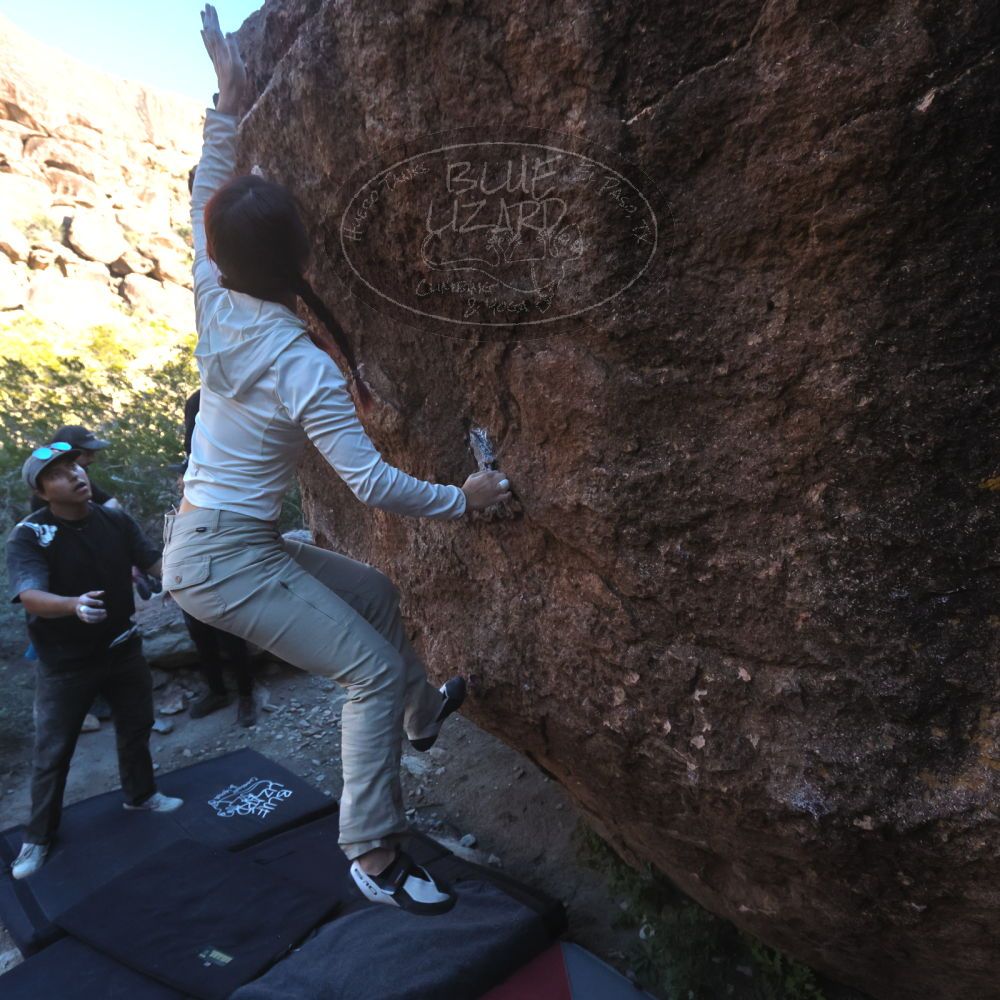 

Filename: SRM_20251110_1532390.jpg
Aperture: f/5.6
Shutter Speed: 1/640
Body: Canon EOS R6
Lens: Canon EF 16-35mm f/2.8 L