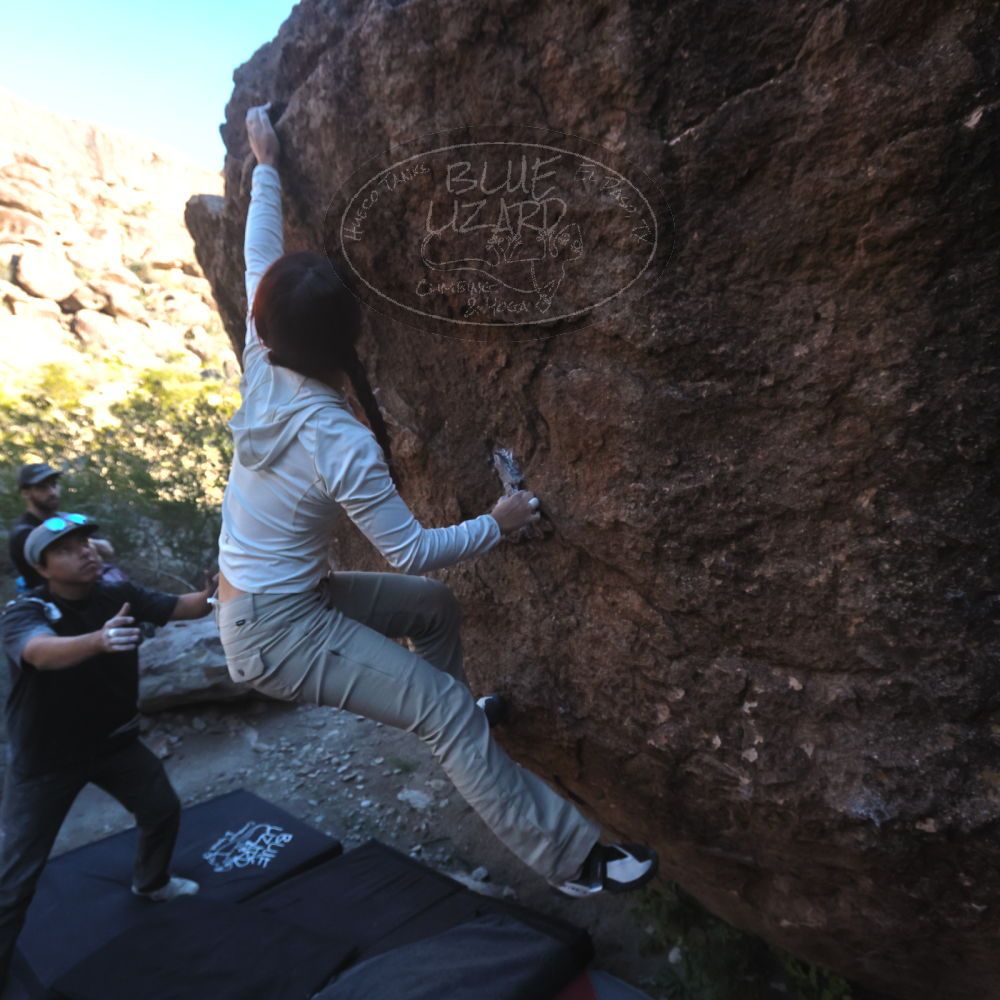 

Filename: SRM_20251110_1533380.jpg
Aperture: f/5.6
Shutter Speed: 1/640
Body: Canon EOS R6
Lens: Canon EF 16-35mm f/2.8 L