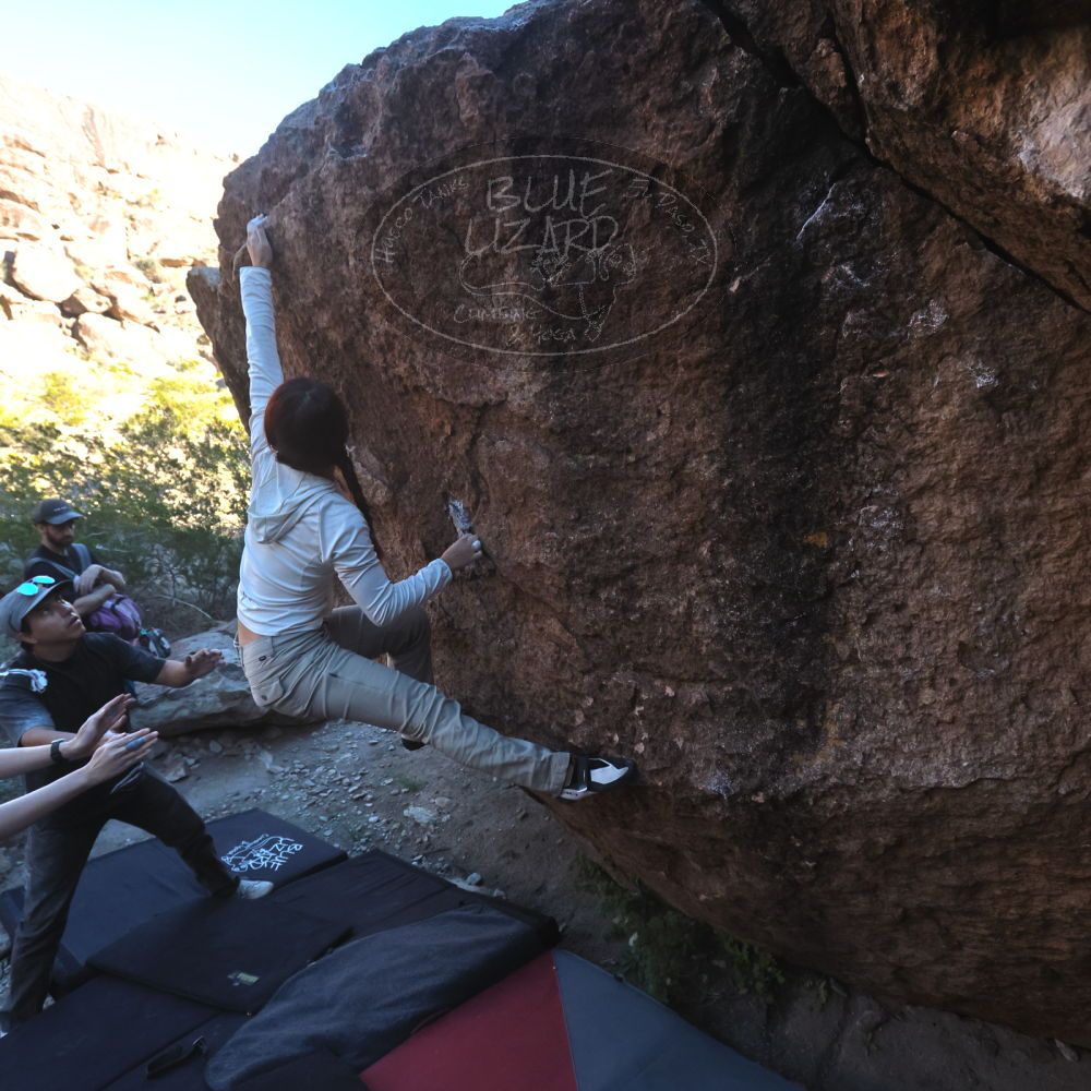 

Filename: SRM_20251110_1534330.jpg
Aperture: f/5.6
Shutter Speed: 1/640
Body: Canon EOS R6
Lens: Canon EF 16-35mm f/2.8 L