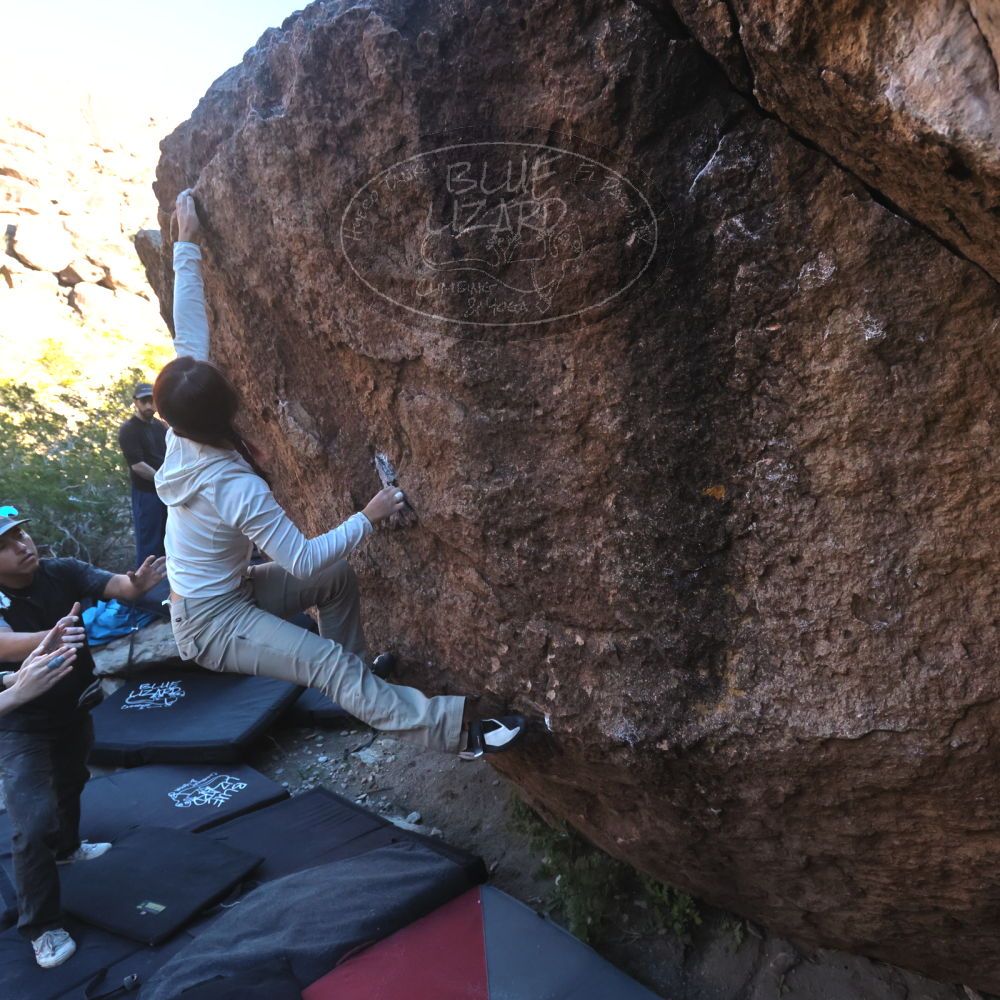 

Filename: SRM_20251110_1537300.jpg
Aperture: f/5.6
Shutter Speed: 1/640
Body: Canon EOS R6
Lens: Canon EF 16-35mm f/2.8 L