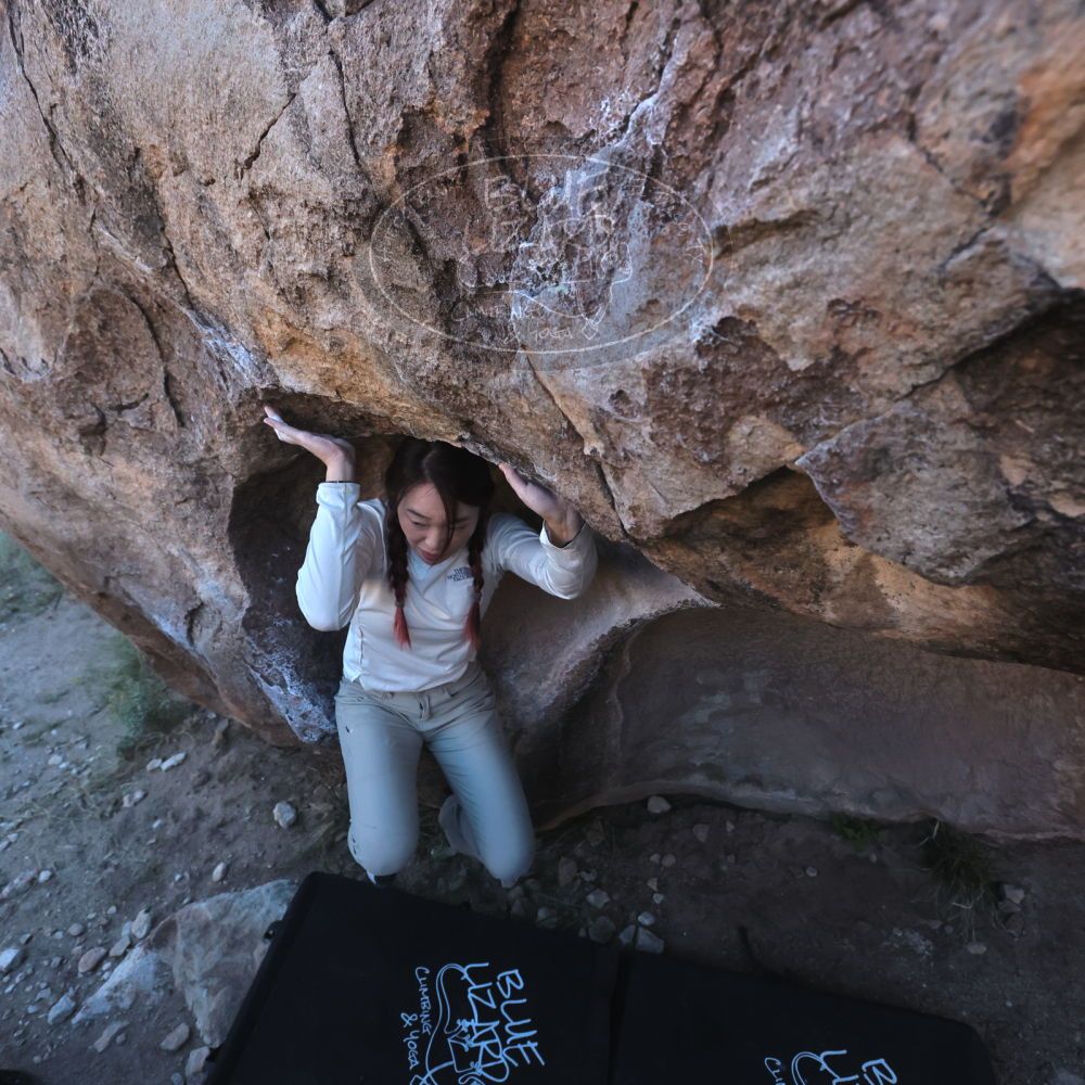 

Filename: SRM_20251110_1541360.jpg
Aperture: f/5.6
Shutter Speed: 1/640
Body: Canon EOS R6
Lens: Canon EF 16-35mm f/2.8 L