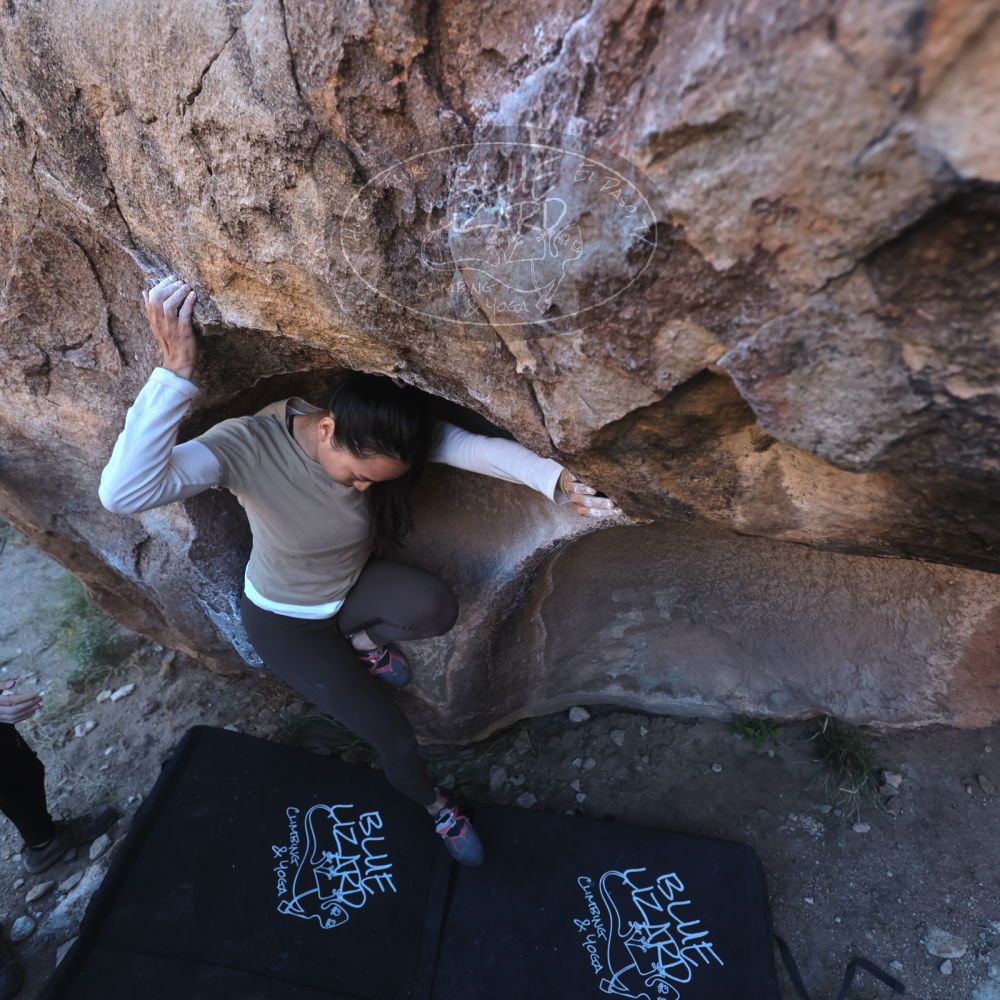 

Filename: SRM_20251110_1548380.jpg
Aperture: f/4.0
Shutter Speed: 1/500
Body: Canon EOS R6
Lens: Canon EF 16-35mm f/2.8 L