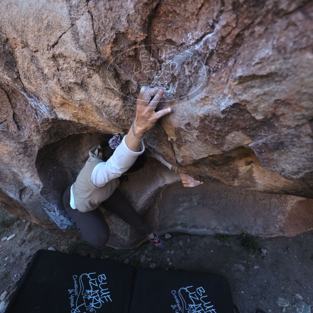 

Filename: SRM_20251110_1549460.jpg
Aperture: f/4.0
Shutter Speed: 1/500
Body: Canon EOS R6
Lens: Canon EF 16-35mm f/2.8 L