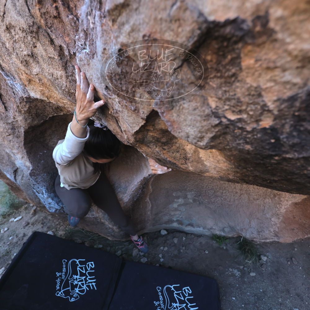 

Filename: SRM_20251110_1549480.jpg
Aperture: f/4.0
Shutter Speed: 1/500
Body: Canon EOS R6
Lens: Canon EF 16-35mm f/2.8 L