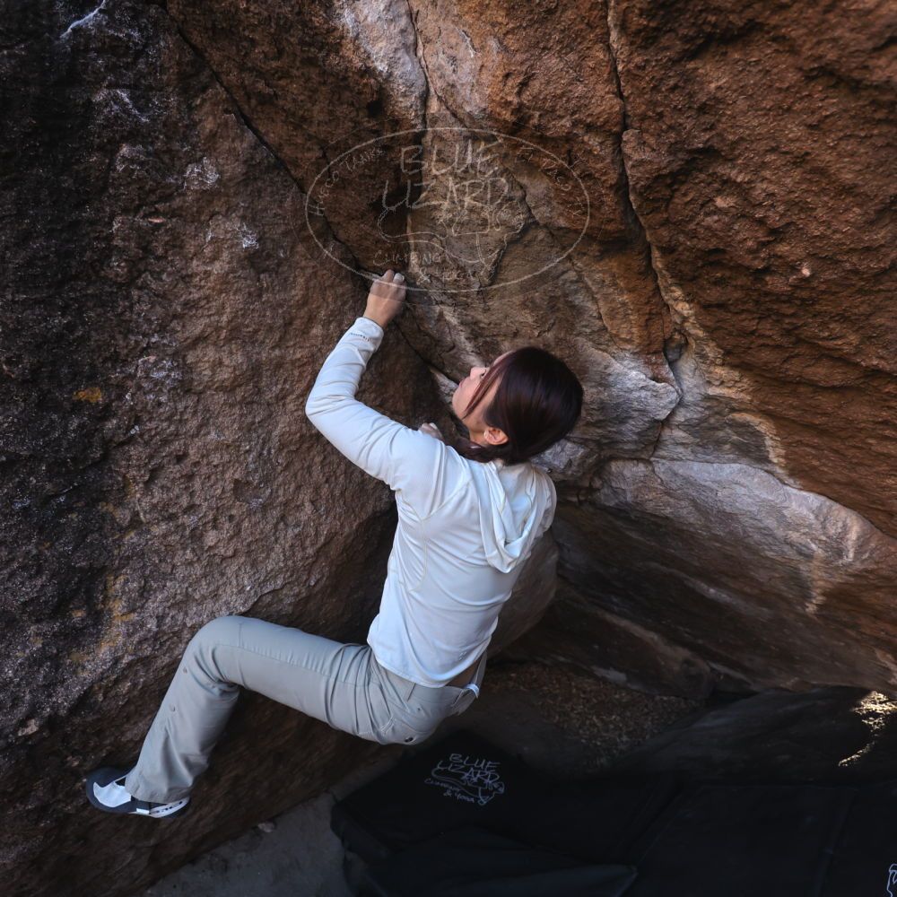 

Filename: SRM_20251110_1557530.jpg
Aperture: f/4.0
Shutter Speed: 1/640
Body: Canon EOS R6
Lens: Canon EF 16-35mm f/2.8 L