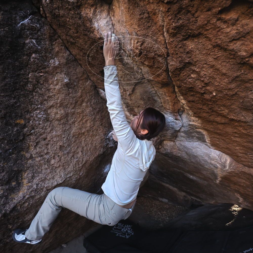 

Filename: SRM_20251110_1557531.jpg
Aperture: f/4.0
Shutter Speed: 1/640
Body: Canon EOS R6
Lens: Canon EF 16-35mm f/2.8 L