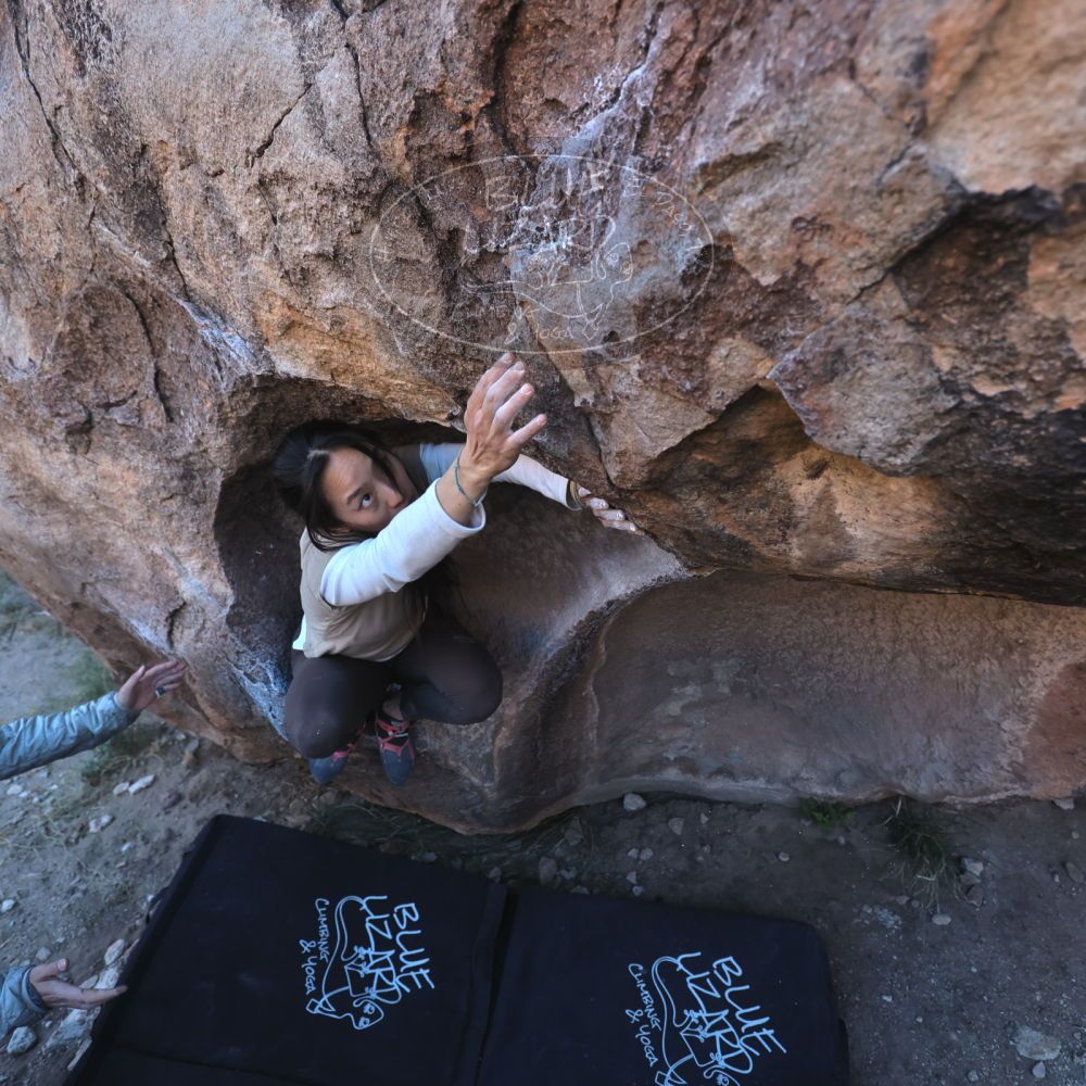 

Filename: SRM_20251110_1601040.jpg
Aperture: f/4.0
Shutter Speed: 1/640
Body: Canon EOS R6
Lens: Canon EF 16-35mm f/2.8 L