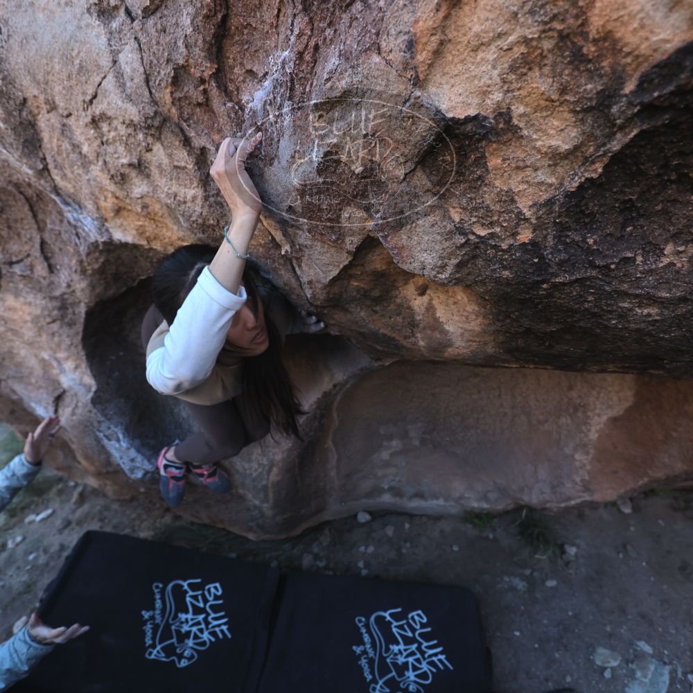 

Filename: SRM_20251110_1601090.jpg
Aperture: f/4.0
Shutter Speed: 1/640
Body: Canon EOS R6
Lens: Canon EF 16-35mm f/2.8 L