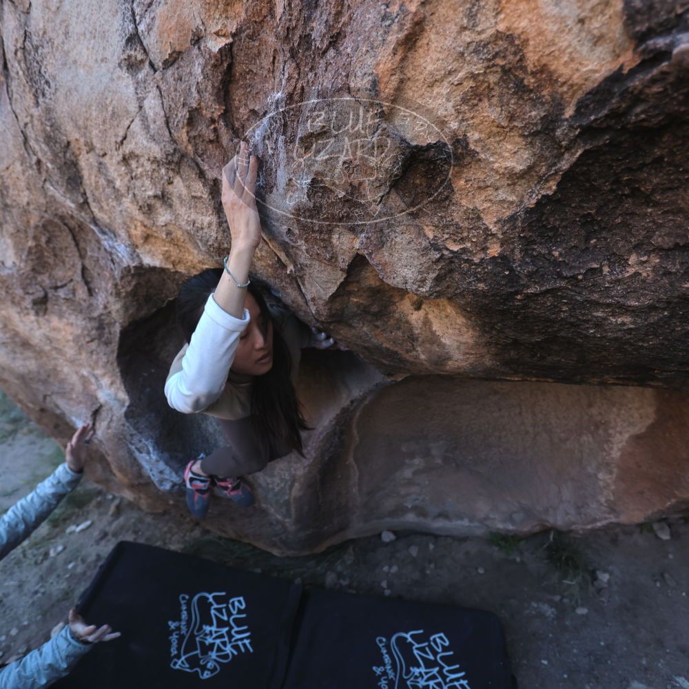 

Filename: SRM_20251110_1601100.jpg
Aperture: f/4.0
Shutter Speed: 1/640
Body: Canon EOS R6
Lens: Canon EF 16-35mm f/2.8 L