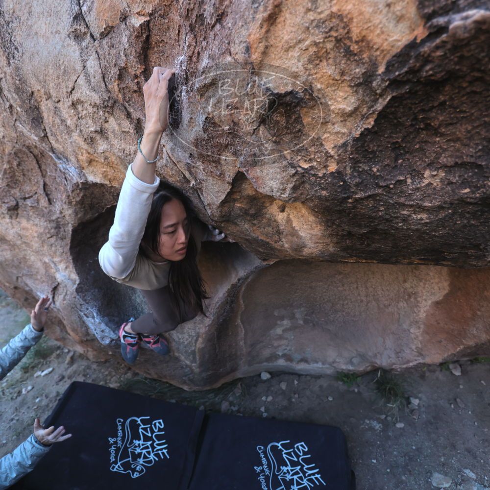 

Filename: SRM_20251110_1601121.jpg
Aperture: f/4.0
Shutter Speed: 1/640
Body: Canon EOS R6
Lens: Canon EF 16-35mm f/2.8 L