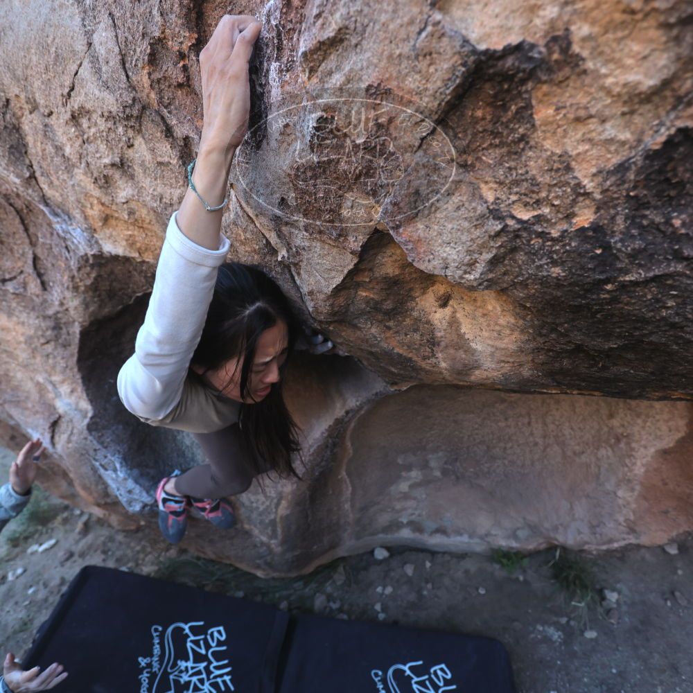 

Filename: SRM_20251110_1601140.jpg
Aperture: f/4.0
Shutter Speed: 1/640
Body: Canon EOS R6
Lens: Canon EF 16-35mm f/2.8 L