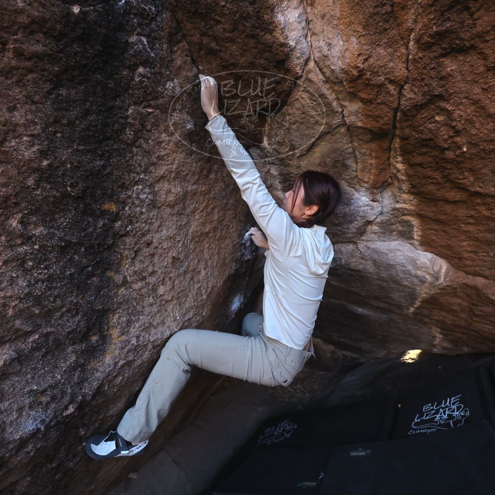 

Filename: SRM_20251110_1603510.jpg
Aperture: f/4.0
Shutter Speed: 1/640
Body: Canon EOS R6
Lens: Canon EF 16-35mm f/2.8 L