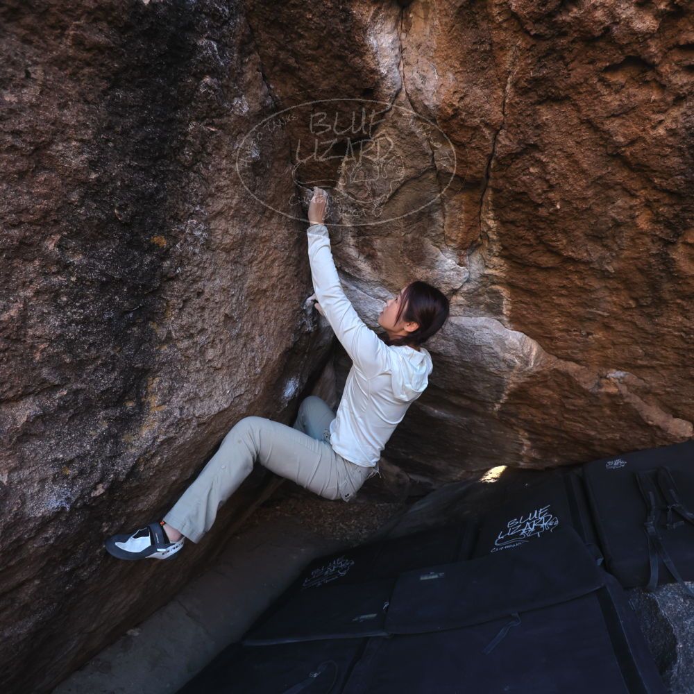 

Filename: SRM_20251110_1604240.jpg
Aperture: f/4.0
Shutter Speed: 1/640
Body: Canon EOS R6
Lens: Canon EF 16-35mm f/2.8 L