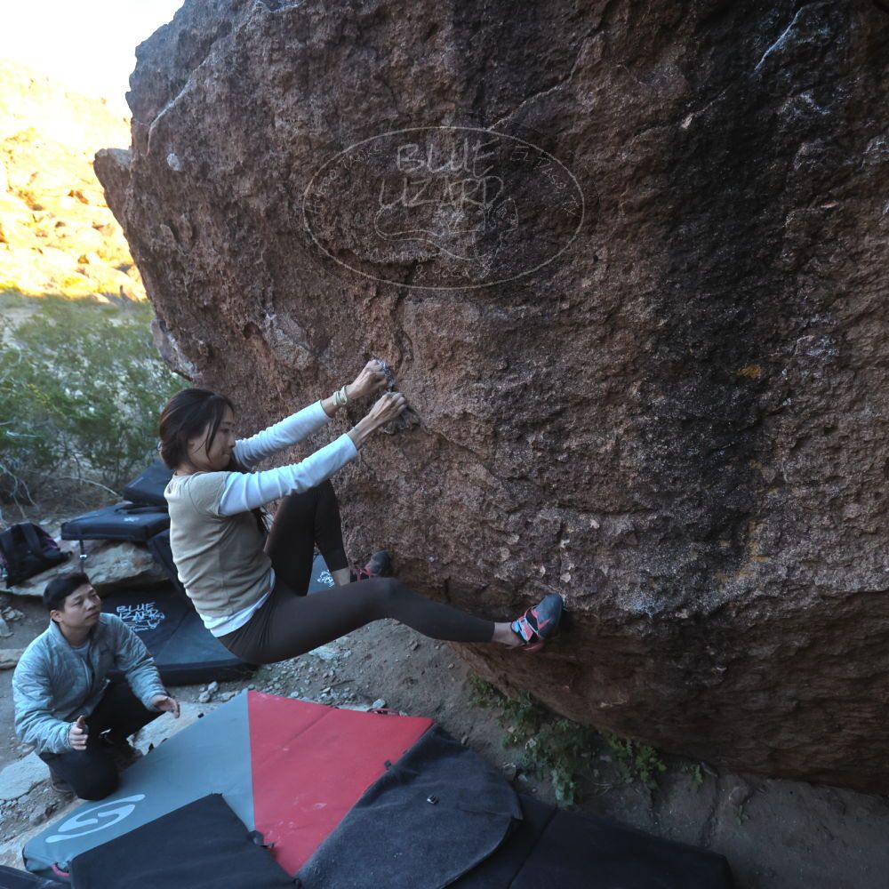 

Filename: SRM_20251110_1653370.jpg
Aperture: f/4.0
Shutter Speed: 1/640
Body: Canon EOS R6
Lens: Canon EF 16-35mm f/2.8 L