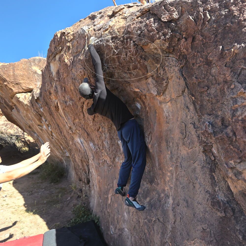 

Filename: SRM_20251110_1044070.jpg
Aperture: f/5.6
Shutter Speed: 1/1000
Body: Canon EOS R6
Lens: Canon EF 16-35mm f/2.8 L