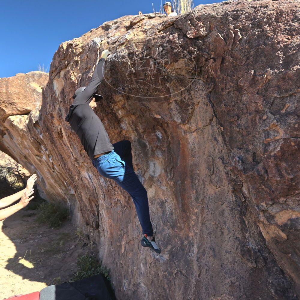 

Filename: SRM_20251110_1044120.jpg
Aperture: f/5.6
Shutter Speed: 1/1000
Body: Canon EOS R6
Lens: Canon EF 16-35mm f/2.8 L