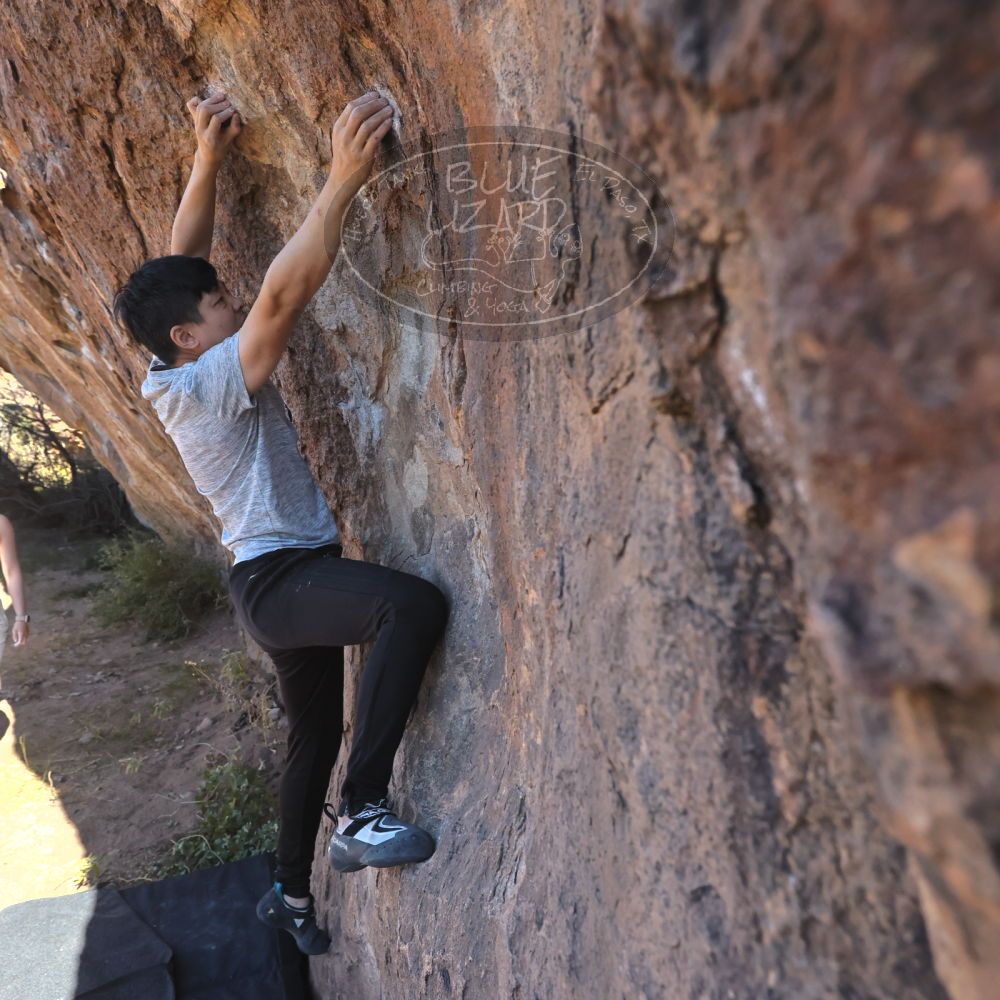 

Filename: SRM_20251110_1051260.jpg
Aperture: f/5.6
Shutter Speed: 1/1000
Body: Canon EOS R6
Lens: Canon EF 16-35mm f/2.8 L