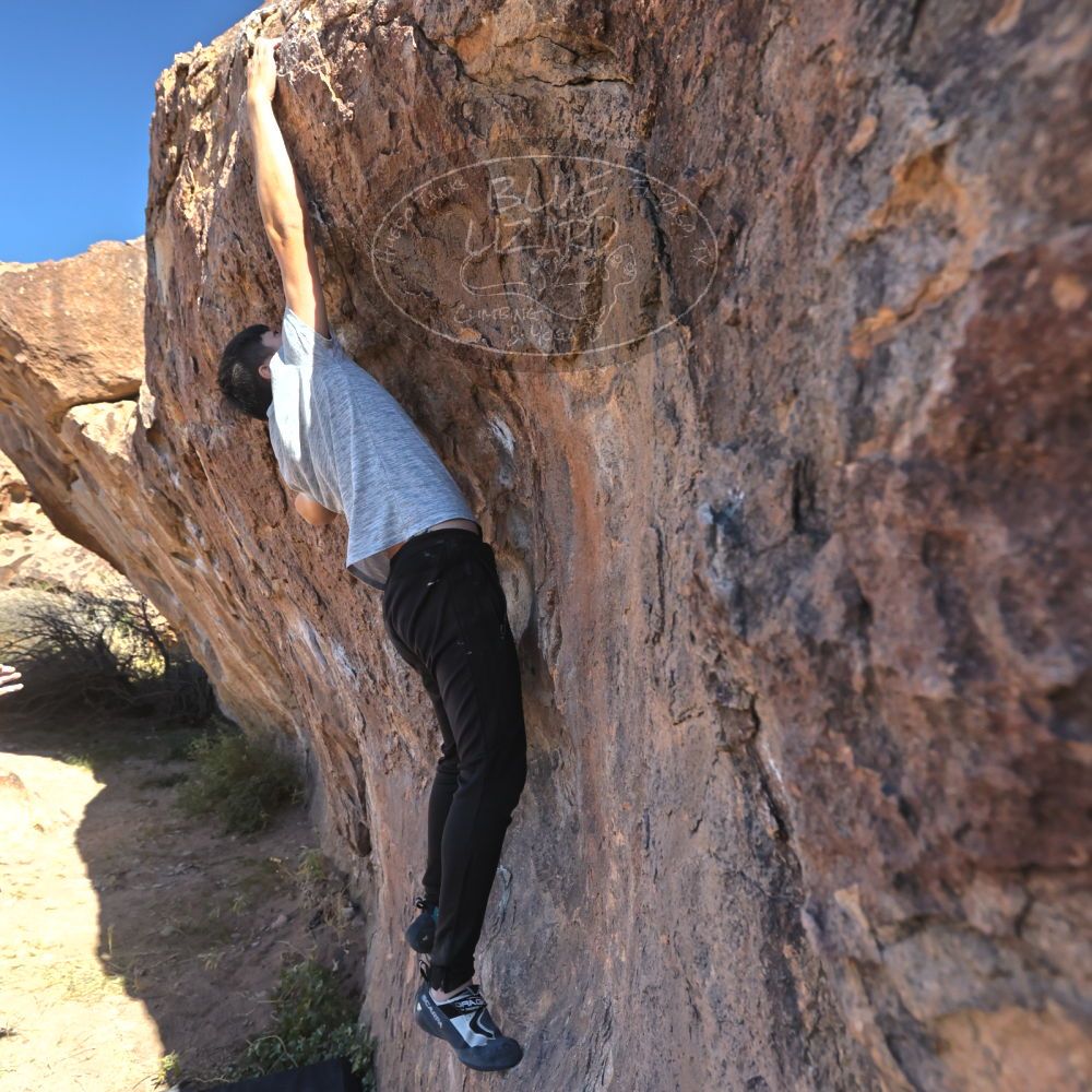 

Filename: SRM_20251110_1051300.jpg
Aperture: f/5.6
Shutter Speed: 1/1000
Body: Canon EOS R6
Lens: Canon EF 16-35mm f/2.8 L