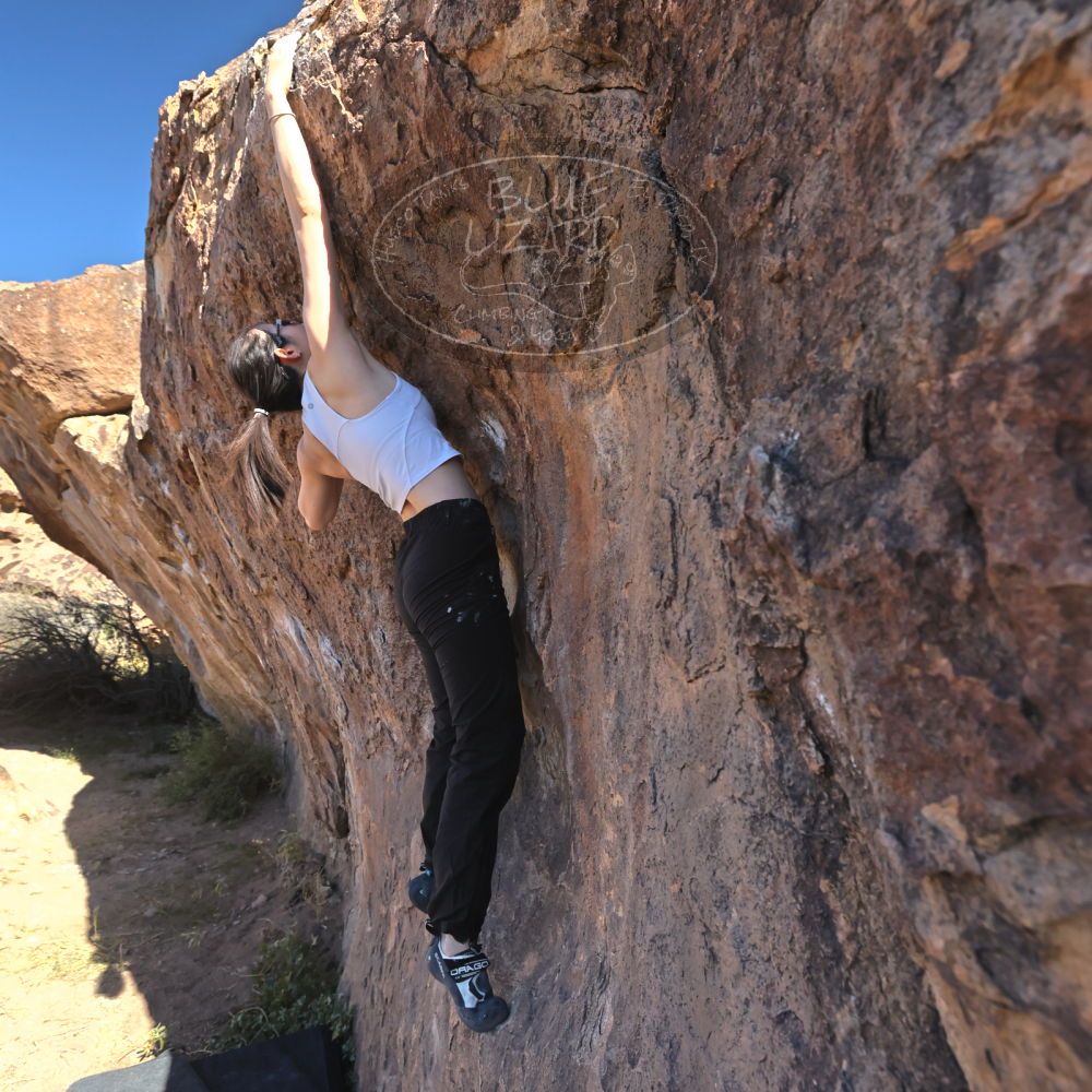 

Filename: SRM_20251110_1052470.jpg
Aperture: f/5.6
Shutter Speed: 1/1000
Body: Canon EOS R6
Lens: Canon EF 16-35mm f/2.8 L