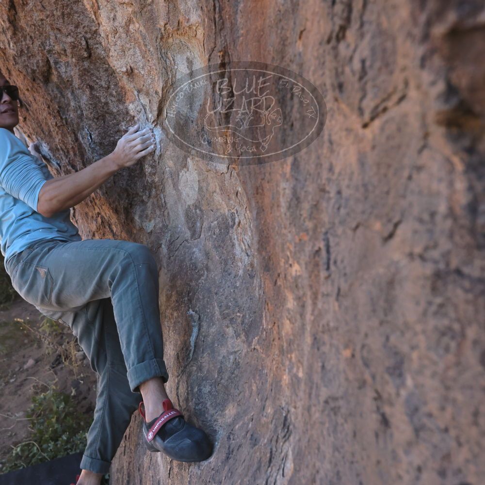 

Filename: SRM_20251110_1058210.jpg
Aperture: f/5.6
Shutter Speed: 1/1000
Body: Canon EOS R6
Lens: Canon EF 16-35mm f/2.8 L