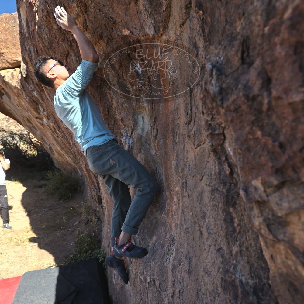 

Filename: SRM_20251110_1058240.jpg
Aperture: f/5.6
Shutter Speed: 1/1000
Body: Canon EOS R6
Lens: Canon EF 16-35mm f/2.8 L