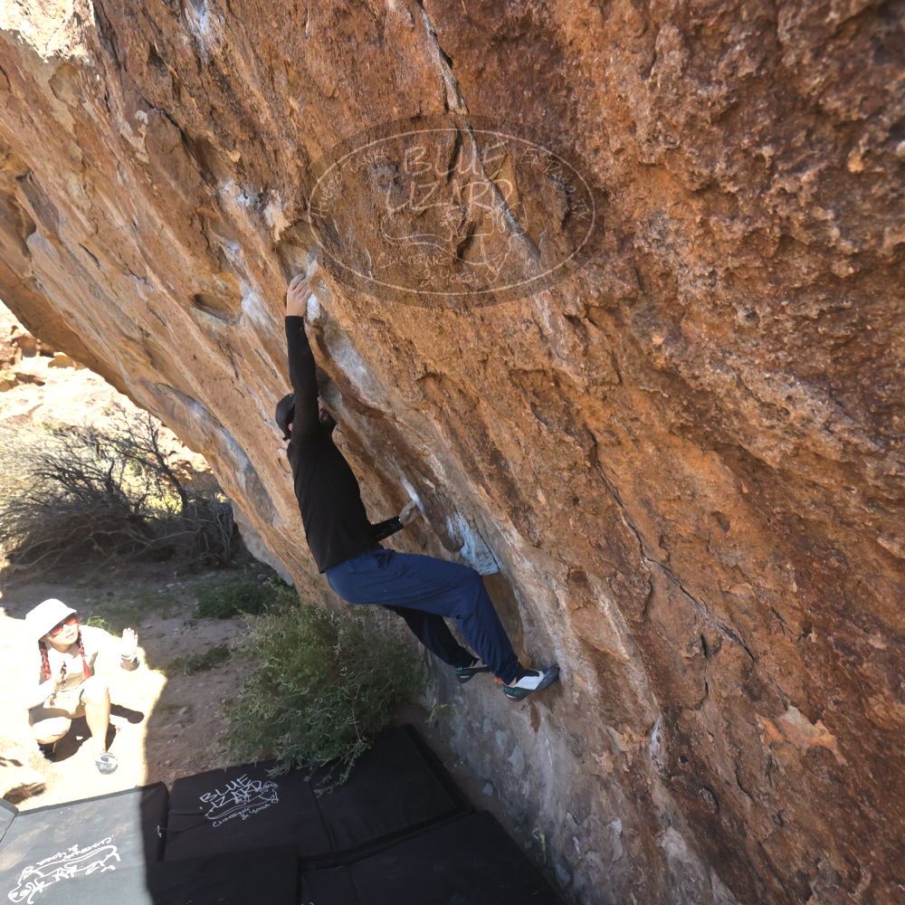 

Filename: SRM_20251110_1107140.jpg
Aperture: f/5.6
Shutter Speed: 1/1000
Body: Canon EOS R6
Lens: Canon EF 16-35mm f/2.8 L