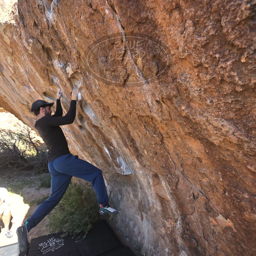 

Filename: SRM_20251110_1107170.jpg
Aperture: f/5.6
Shutter Speed: 1/1000
Body: Canon EOS R6
Lens: Canon EF 16-35mm f/2.8 L