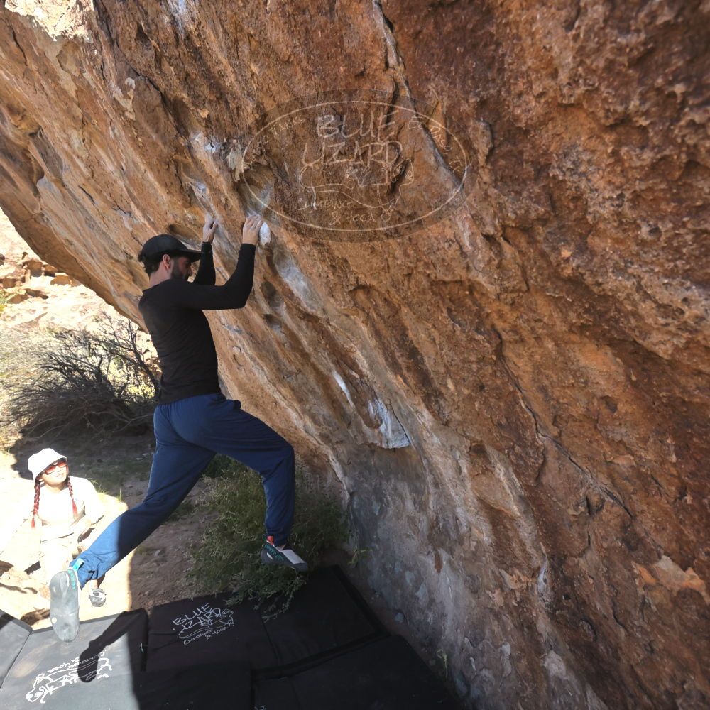 

Filename: SRM_20251110_1107171.jpg
Aperture: f/5.6
Shutter Speed: 1/1000
Body: Canon EOS R6
Lens: Canon EF 16-35mm f/2.8 L