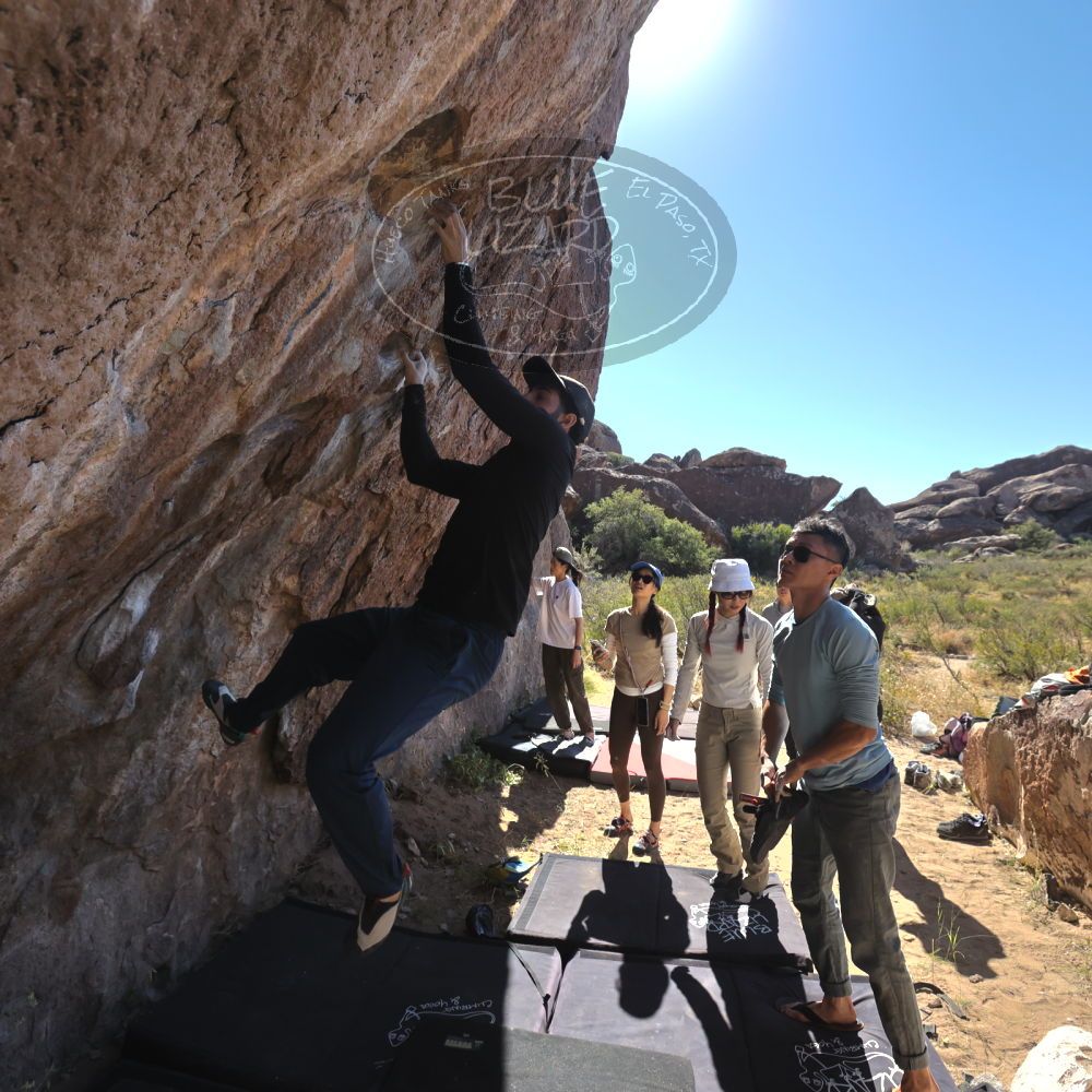 

Filename: SRM_20251110_1112110.jpg
Aperture: f/5.6
Shutter Speed: 1/1000
Body: Canon EOS R6
Lens: Canon EF 16-35mm f/2.8 L