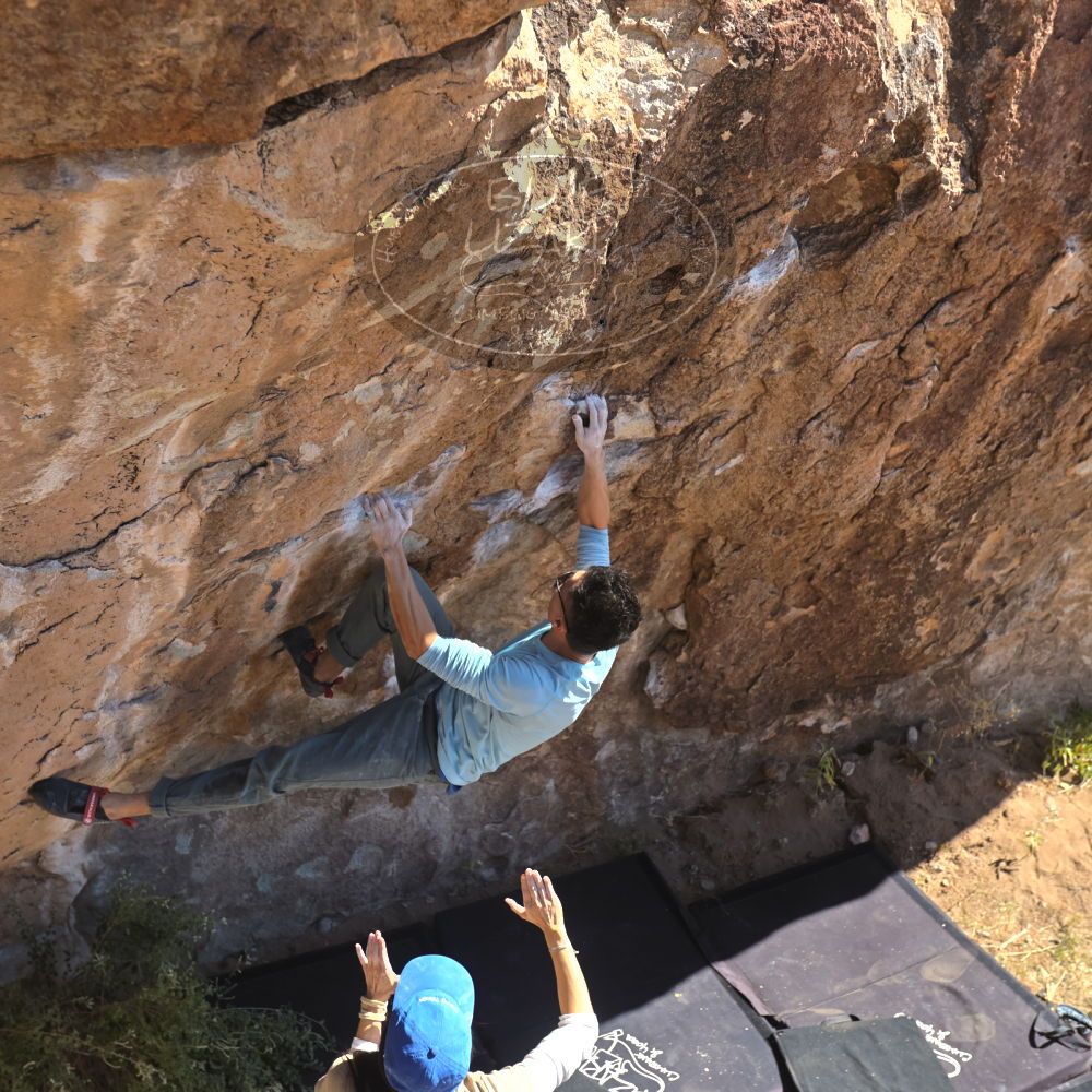 

Filename: SRM_20251110_1132500.jpg
Aperture: f/4.0
Shutter Speed: 1/500
Body: Canon EOS R6
Lens: Canon EF 16-35mm f/2.8 L