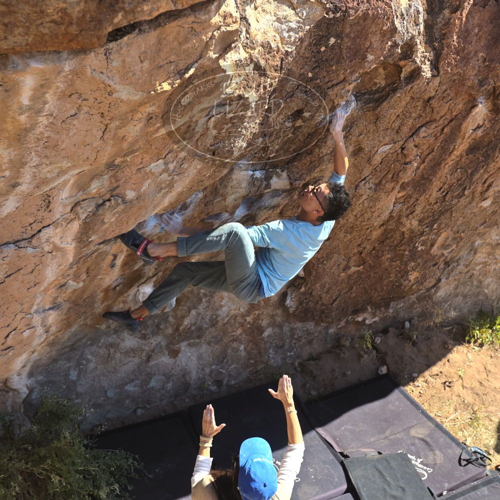 

Filename: SRM_20251110_1132570.jpg
Aperture: f/4.0
Shutter Speed: 1/500
Body: Canon EOS R6
Lens: Canon EF 16-35mm f/2.8 L