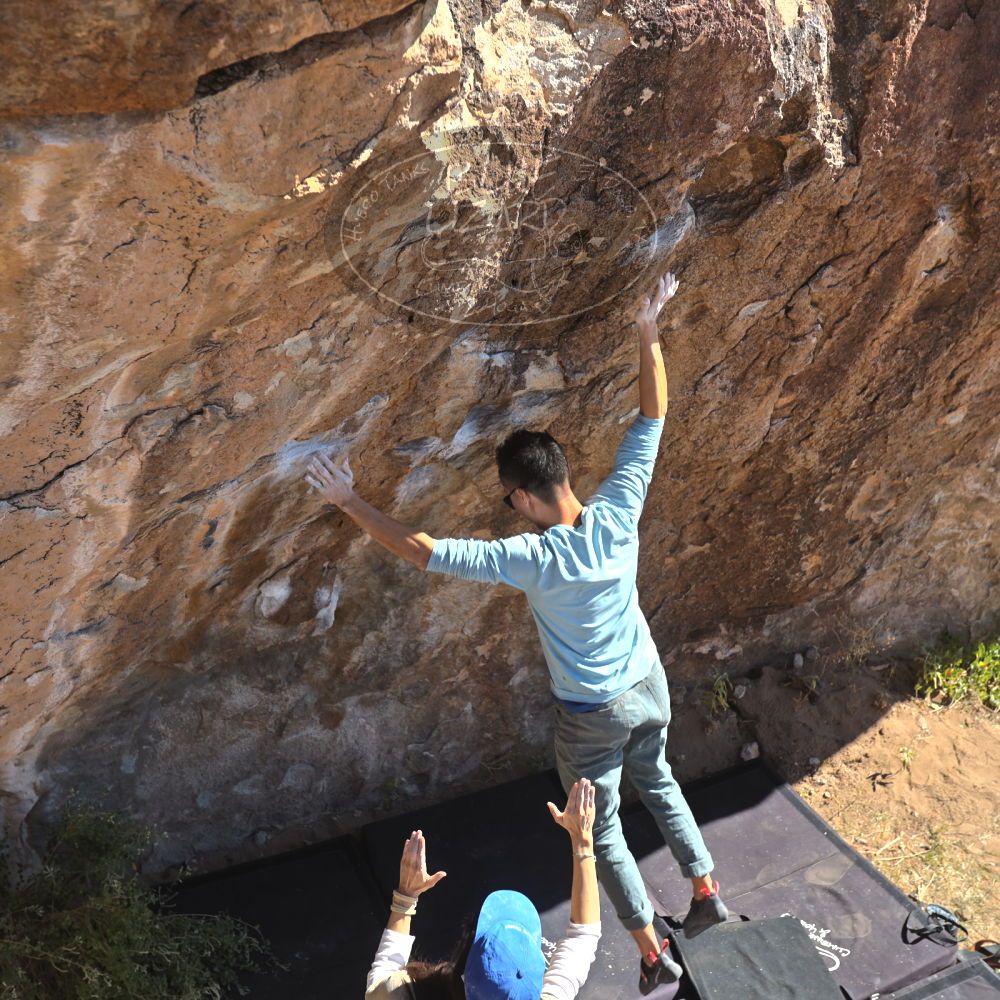 

Filename: SRM_20251110_1133000.jpg
Aperture: f/4.0
Shutter Speed: 1/500
Body: Canon EOS R6
Lens: Canon EF 16-35mm f/2.8 L