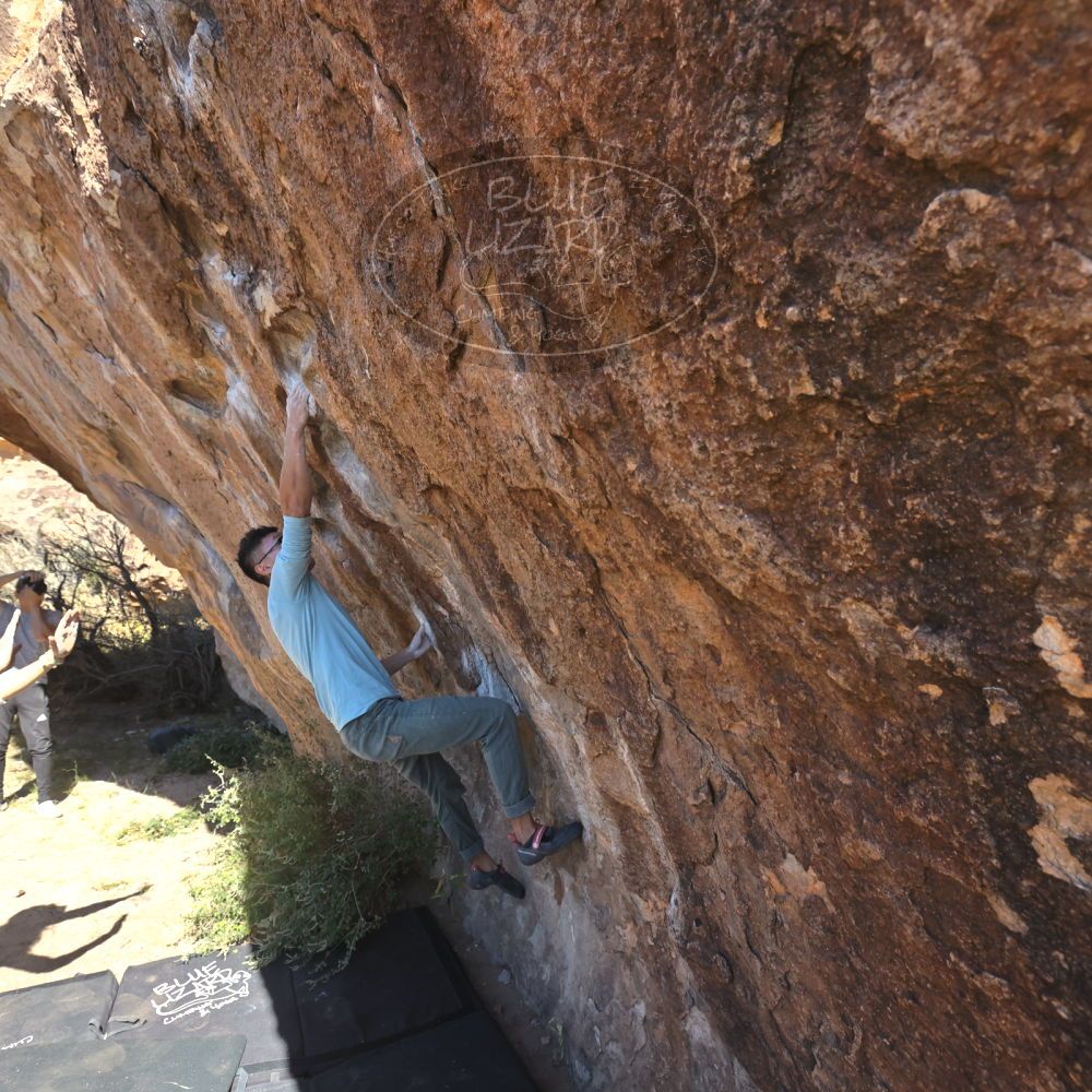 

Filename: SRM_20251110_1140570.jpg
Aperture: f/5.6
Shutter Speed: 1/800
Body: Canon EOS R6
Lens: Canon EF 16-35mm f/2.8 L