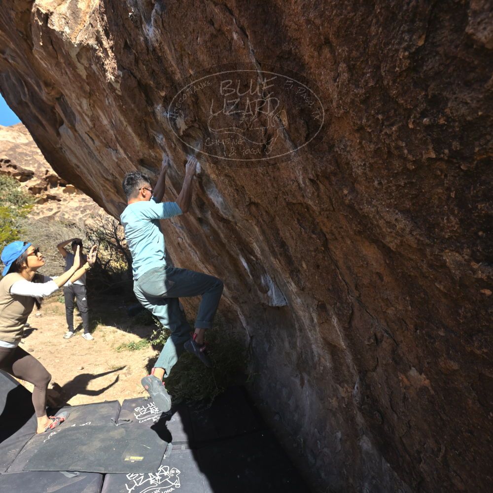 

Filename: SRM_20251110_1140590.jpg
Aperture: f/5.6
Shutter Speed: 1/800
Body: Canon EOS R6
Lens: Canon EF 16-35mm f/2.8 L