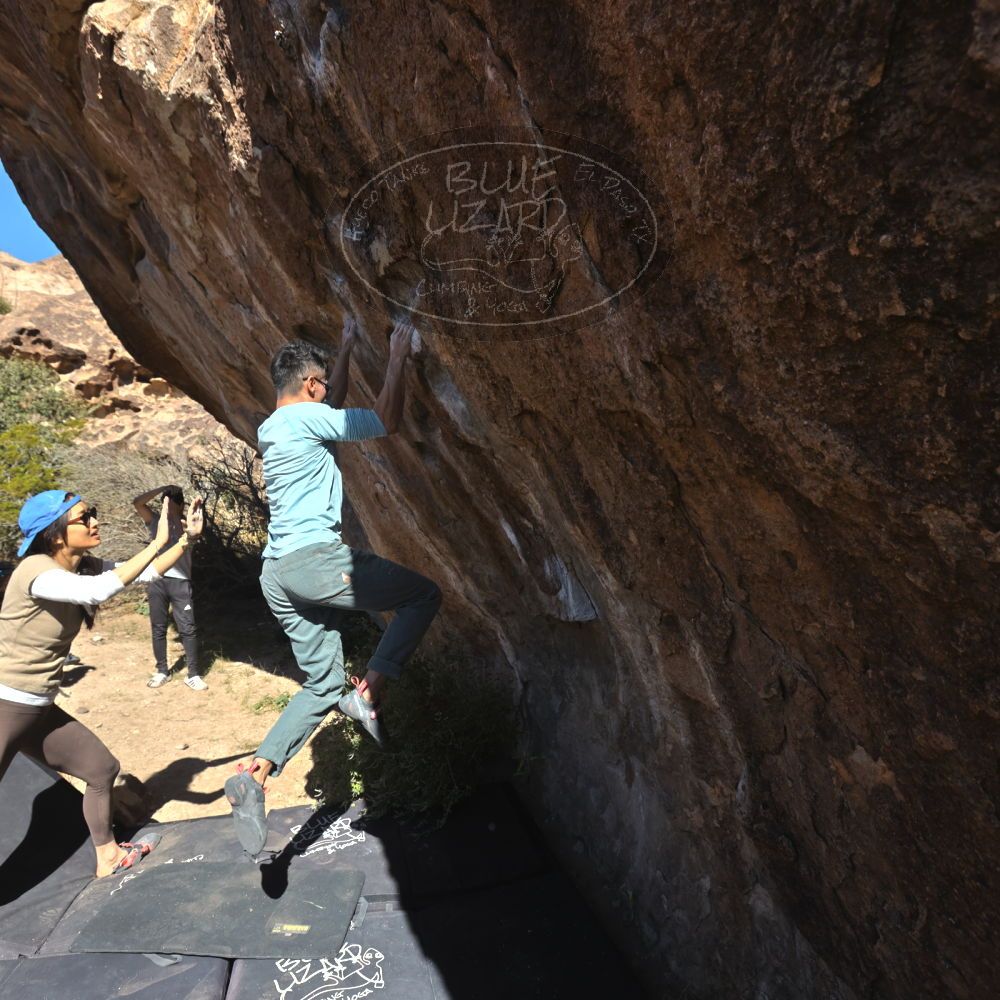 

Filename: SRM_20251110_1140591.jpg
Aperture: f/5.6
Shutter Speed: 1/800
Body: Canon EOS R6
Lens: Canon EF 16-35mm f/2.8 L