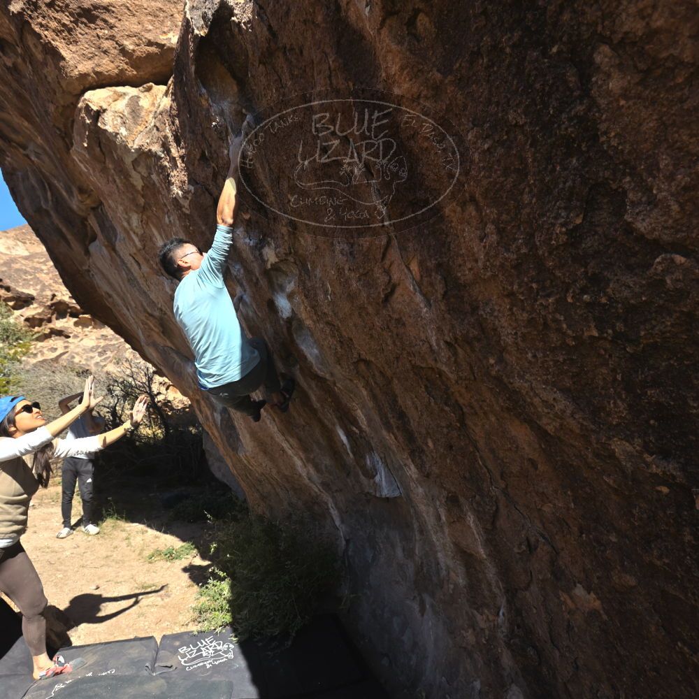 

Filename: SRM_20251110_1141040.jpg
Aperture: f/5.6
Shutter Speed: 1/800
Body: Canon EOS R6
Lens: Canon EF 16-35mm f/2.8 L