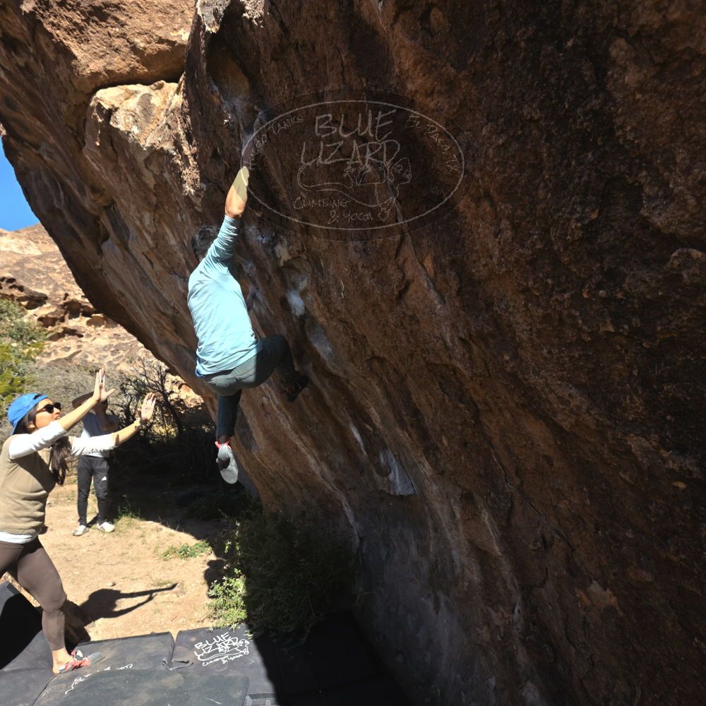 

Filename: SRM_20251110_1141041.jpg
Aperture: f/5.6
Shutter Speed: 1/800
Body: Canon EOS R6
Lens: Canon EF 16-35mm f/2.8 L