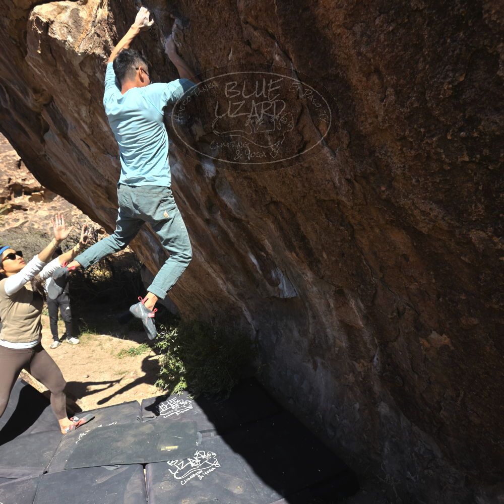 

Filename: SRM_20251110_1141090.jpg
Aperture: f/5.6
Shutter Speed: 1/800
Body: Canon EOS R6
Lens: Canon EF 16-35mm f/2.8 L