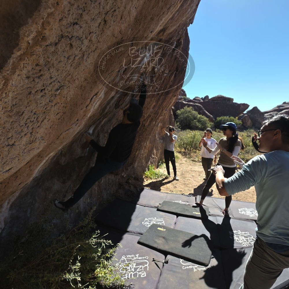 

Filename: SRM_20251110_1144150.jpg
Aperture: f/5.6
Shutter Speed: 1/800
Body: Canon EOS R6
Lens: Canon EF 16-35mm f/2.8 L