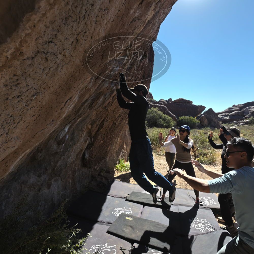 

Filename: SRM_20251110_1144180.jpg
Aperture: f/5.6
Shutter Speed: 1/800
Body: Canon EOS R6
Lens: Canon EF 16-35mm f/2.8 L