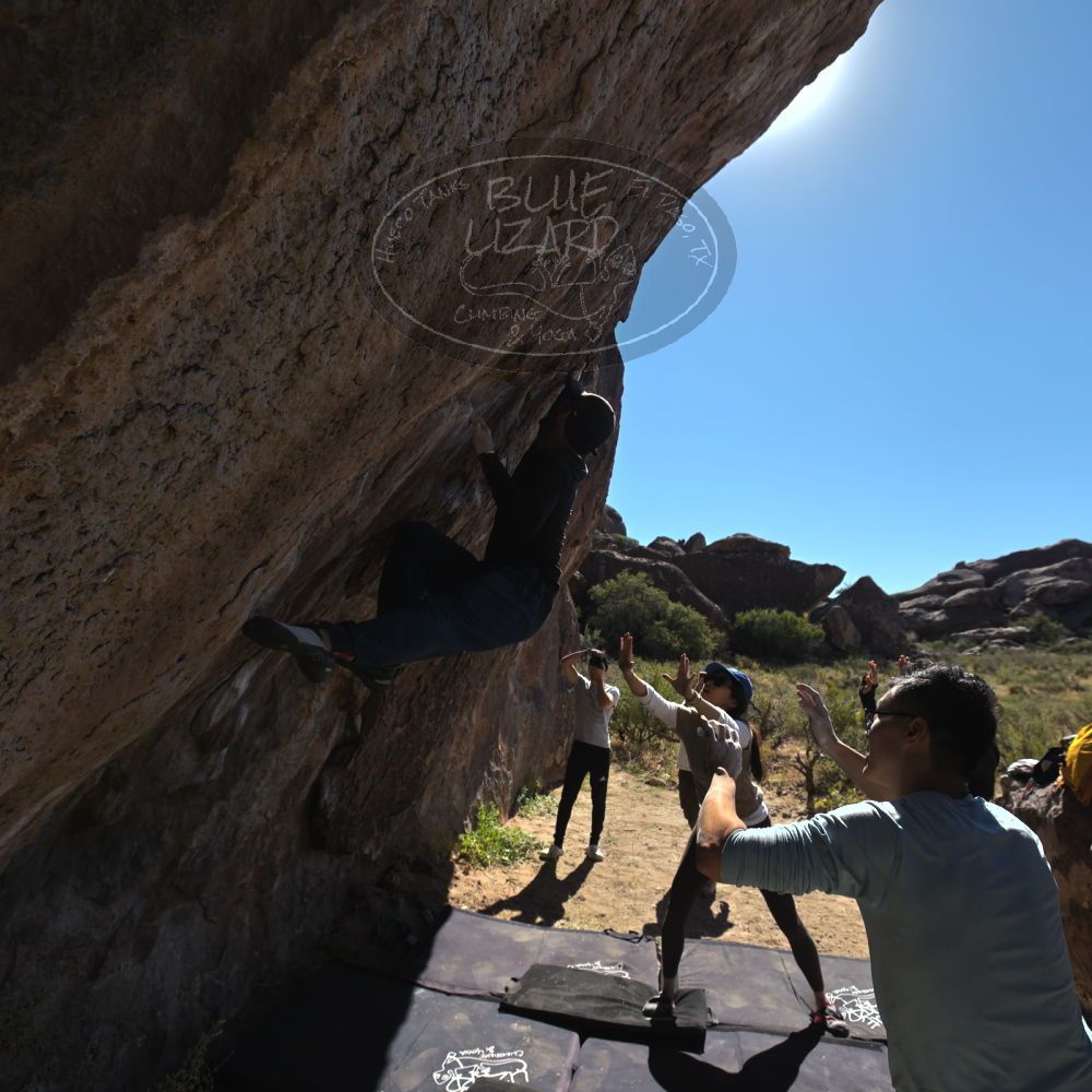 

Filename: SRM_20251110_1144230.jpg
Aperture: f/5.6
Shutter Speed: 1/800
Body: Canon EOS R6
Lens: Canon EF 16-35mm f/2.8 L